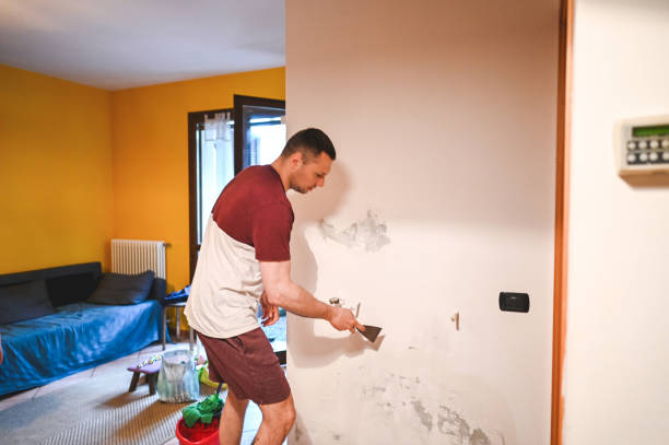 Best Crawl Space Mold Removal  in Brooklyn Heights, OH